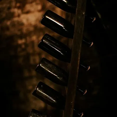 Apartment Casa Luigi Ariano Santo Stefano Belbo